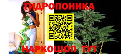кокс Кандалакша