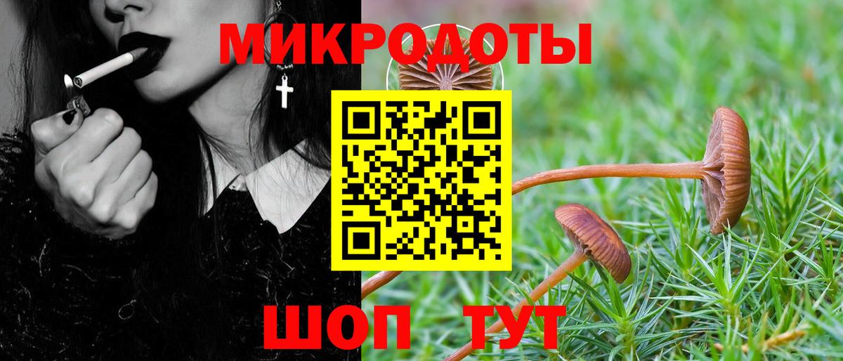 А ПВП Курчатов