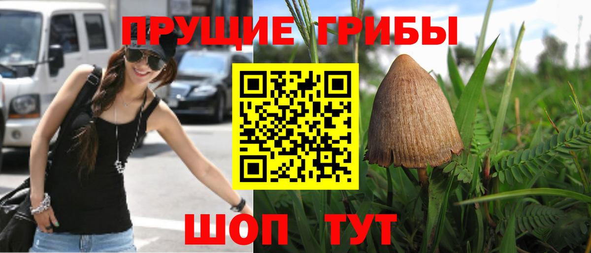 Курчатов  Псилоцибиновые грибы Psilocybine cubensis  Галлюциногенные грибы ЛСД  Вход с VPN 