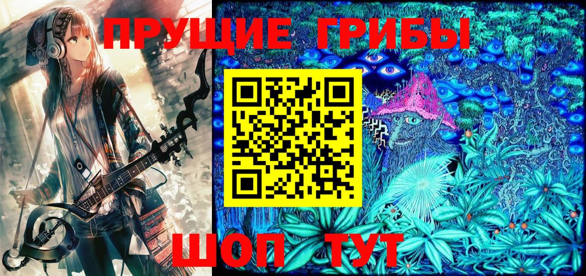 Псилоцибиновые грибы мицелий Курчатов